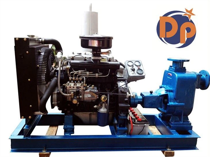 Cast Iron Material Diesel Water Pump